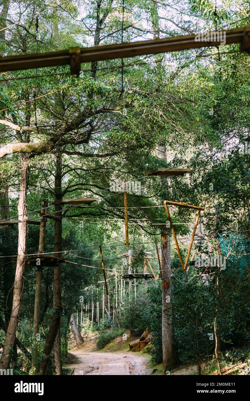 High ropes experience adventure tree park. Rope road course in trees