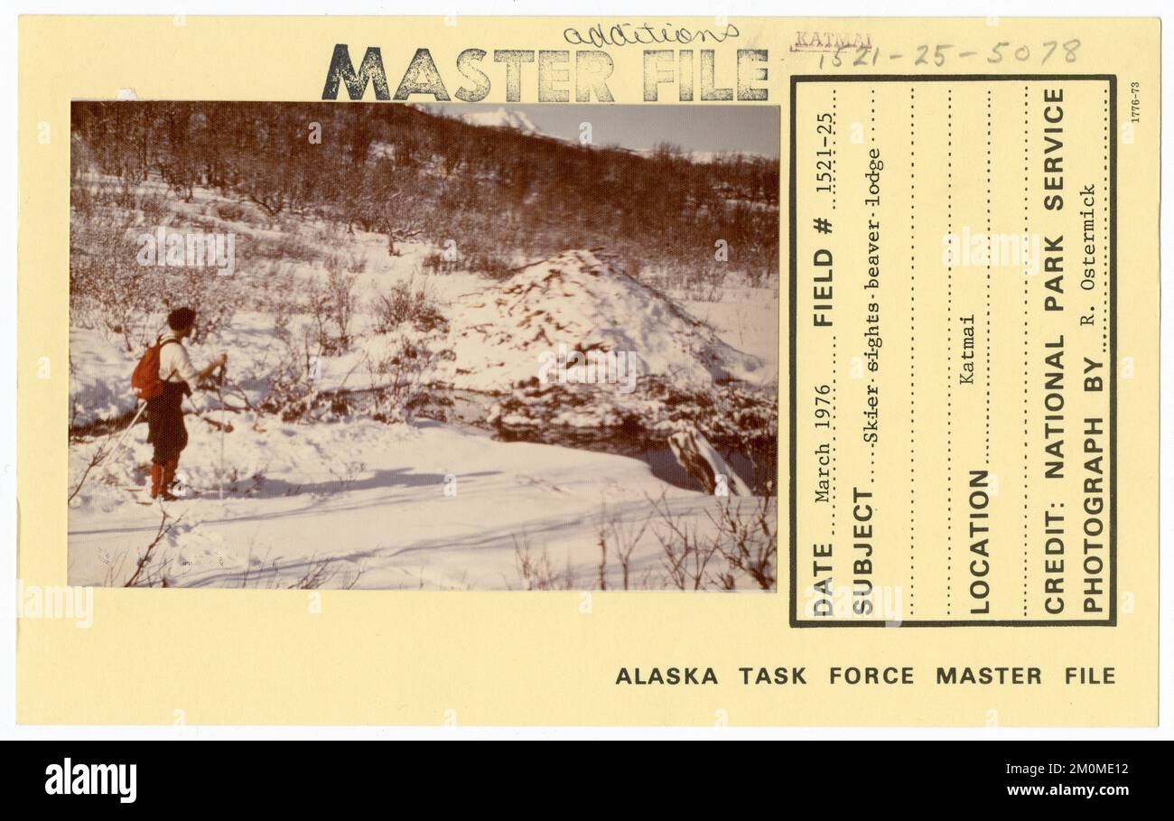Skier sights beaver lodge. Alaska Task Force Photographs Stock Photo