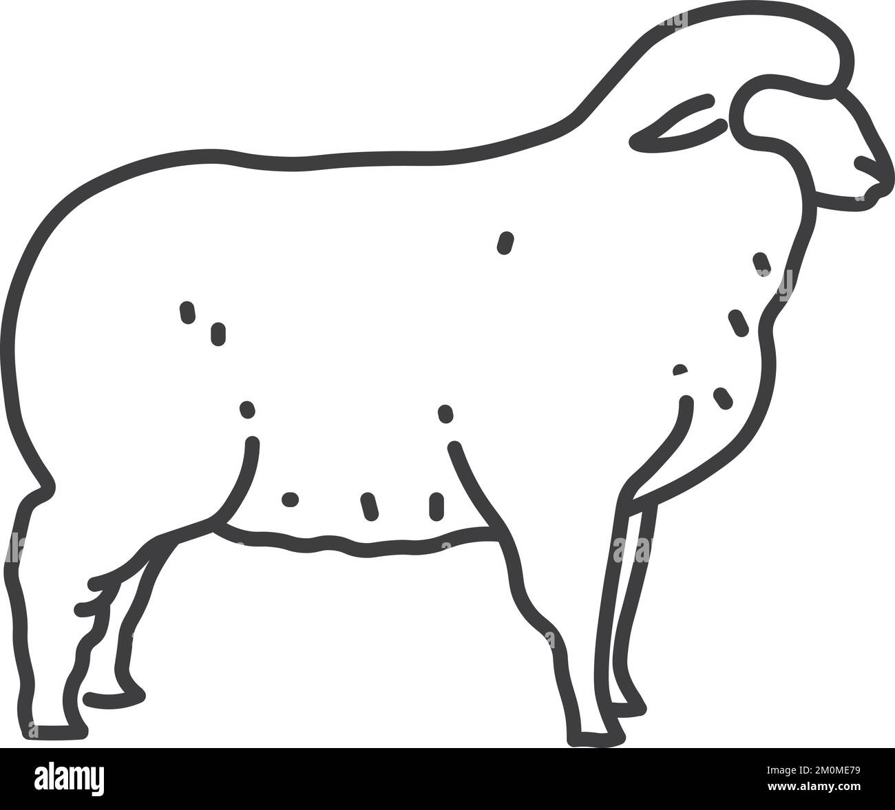 Lamb mutton animal farm Stock Vector Images Alamy