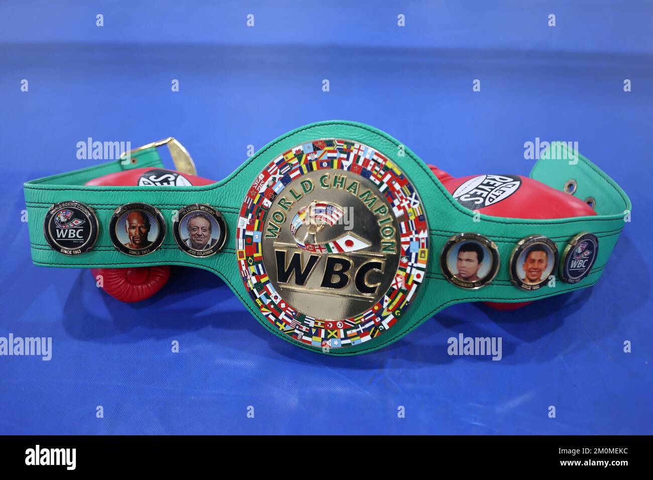 World champion belt hi-res stock photography and images - Alamy