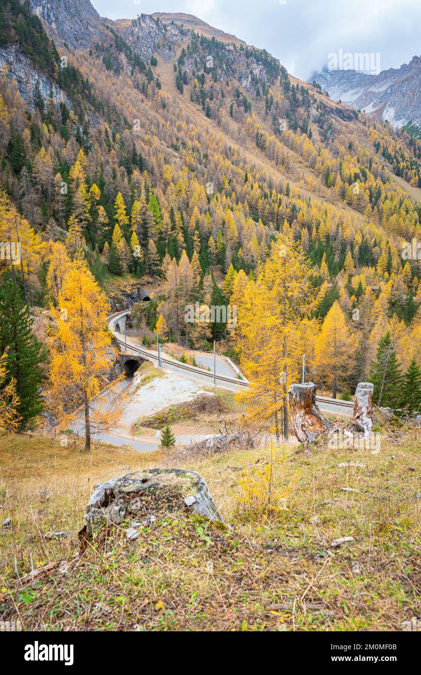 Mountain slopes with larch trees in autumn foliage on the way to the ...