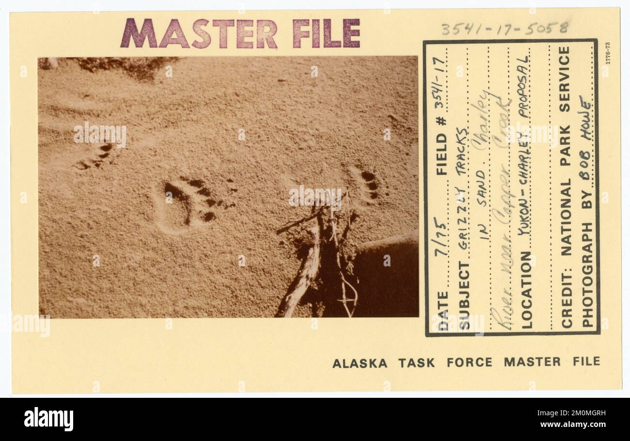 Grizzly tracks in the sand Charley River near Copper Creek. Alaska Task Force Photographs Stock Photo