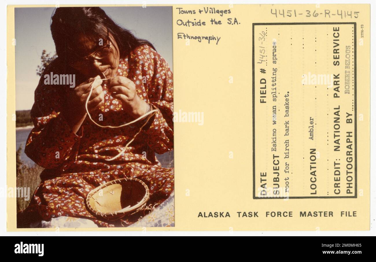 Eskimo woman splitting spruce root for birch bark basket. Alaska Task