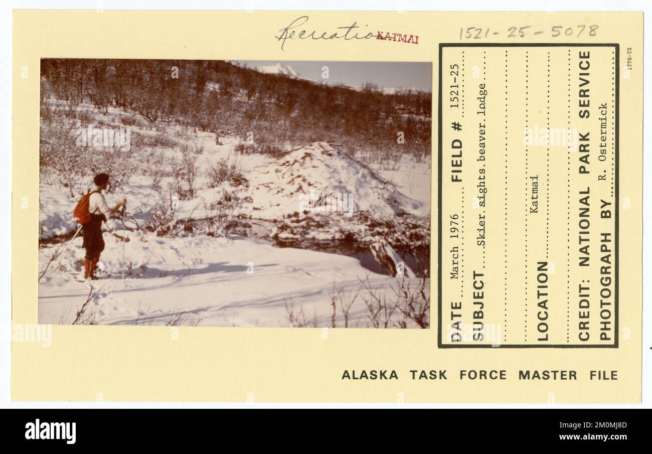 Skier sights beaver lodge. Alaska Task Force Photographs Stock Photo