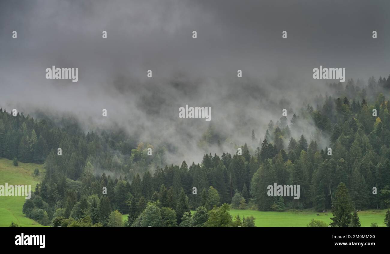 Regen, Wolken, Wiese, Nadelwald, Hagspiel, Weißachtal, Allgäu, Bayern, Deutschland Stock Photo