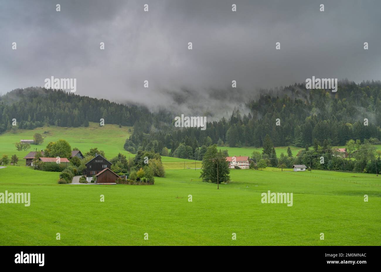 Regen, Wolken, Wiese, Nadelwald, Hagspiel, Weißachtal, Allgäu, Bayern, Deutschland Stock Photo