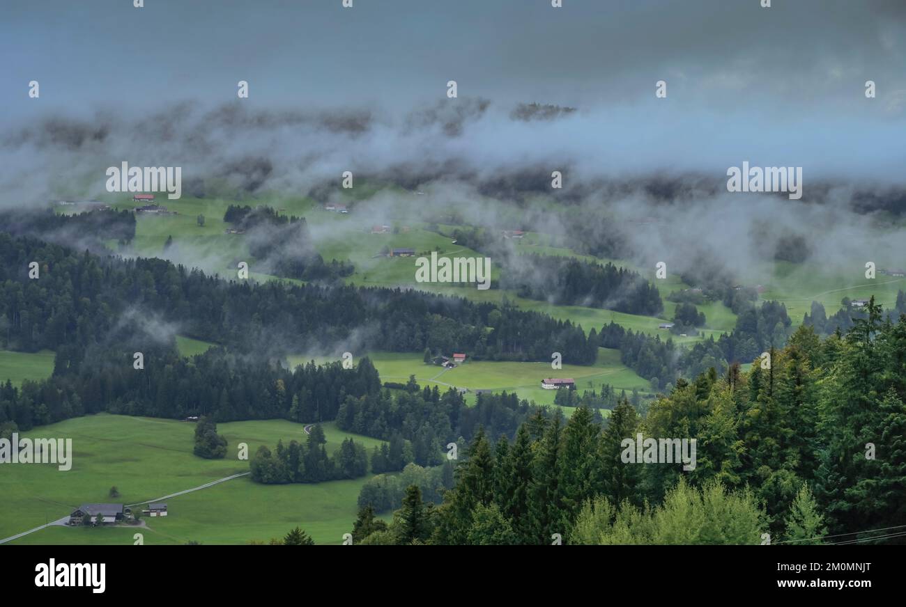 Regen, Wolken, Wiese, Nadelwald, Weißachtal, Allgäu, Bayern, Deutschland Stock Photo