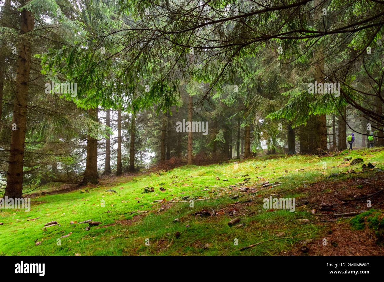 Rainy day scenery hi-res stock photography and images - Alamy