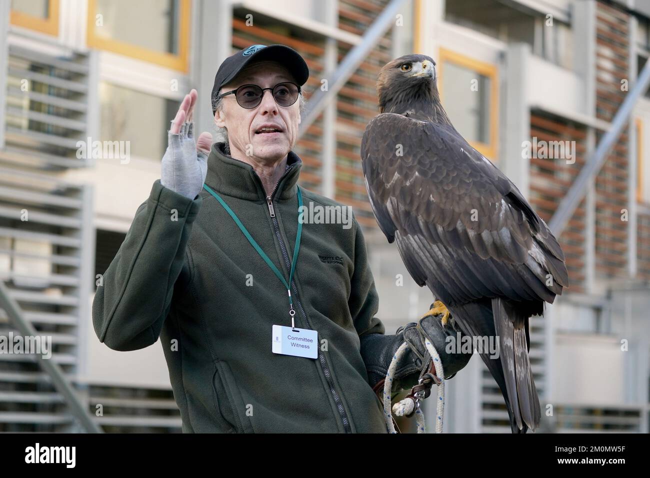 Khan, Golden Eagle - Picture of Yarak Bird of Prey, Cullompton - Tripadvisor