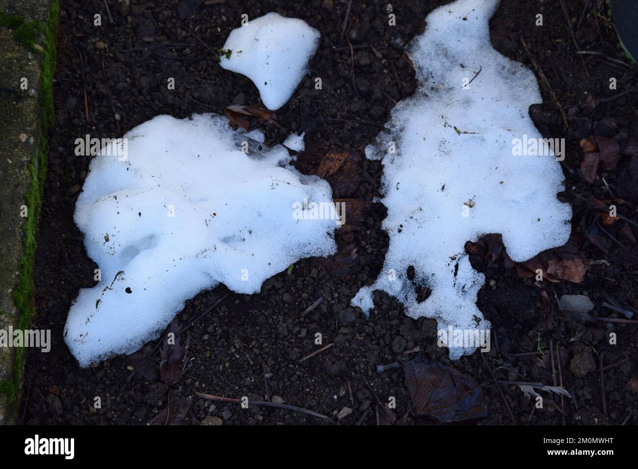 some snow Stock Photo