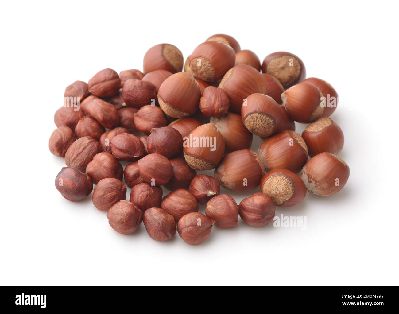 Pile of shelled and unshelled hazelnuts isolated on white Stock Photo