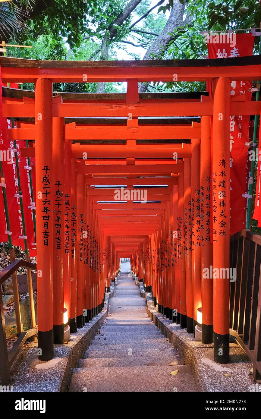Orange Torii Gate tunnel at the Hie Jinja Shinto Shrine, Tokyo, Japan Stock Photo