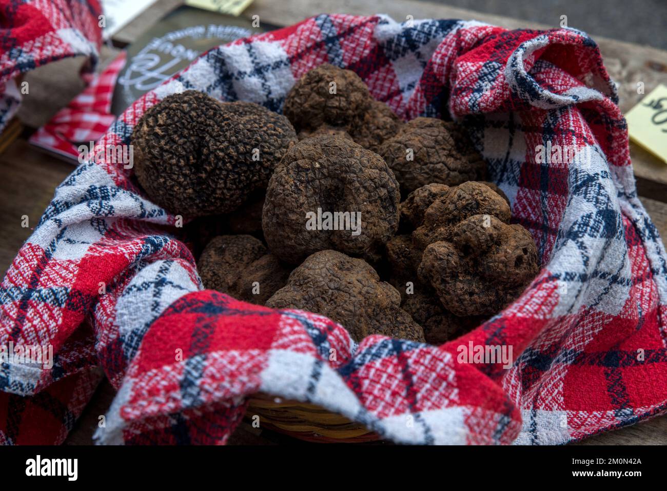 The first truffle market of the 2022/2023 season organized by the