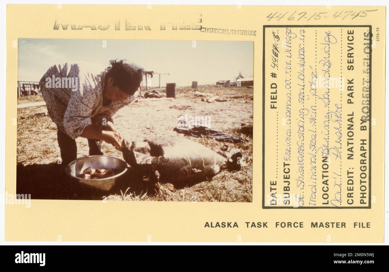 Eskimo woman at the village of Shismaref storing seal blubber in