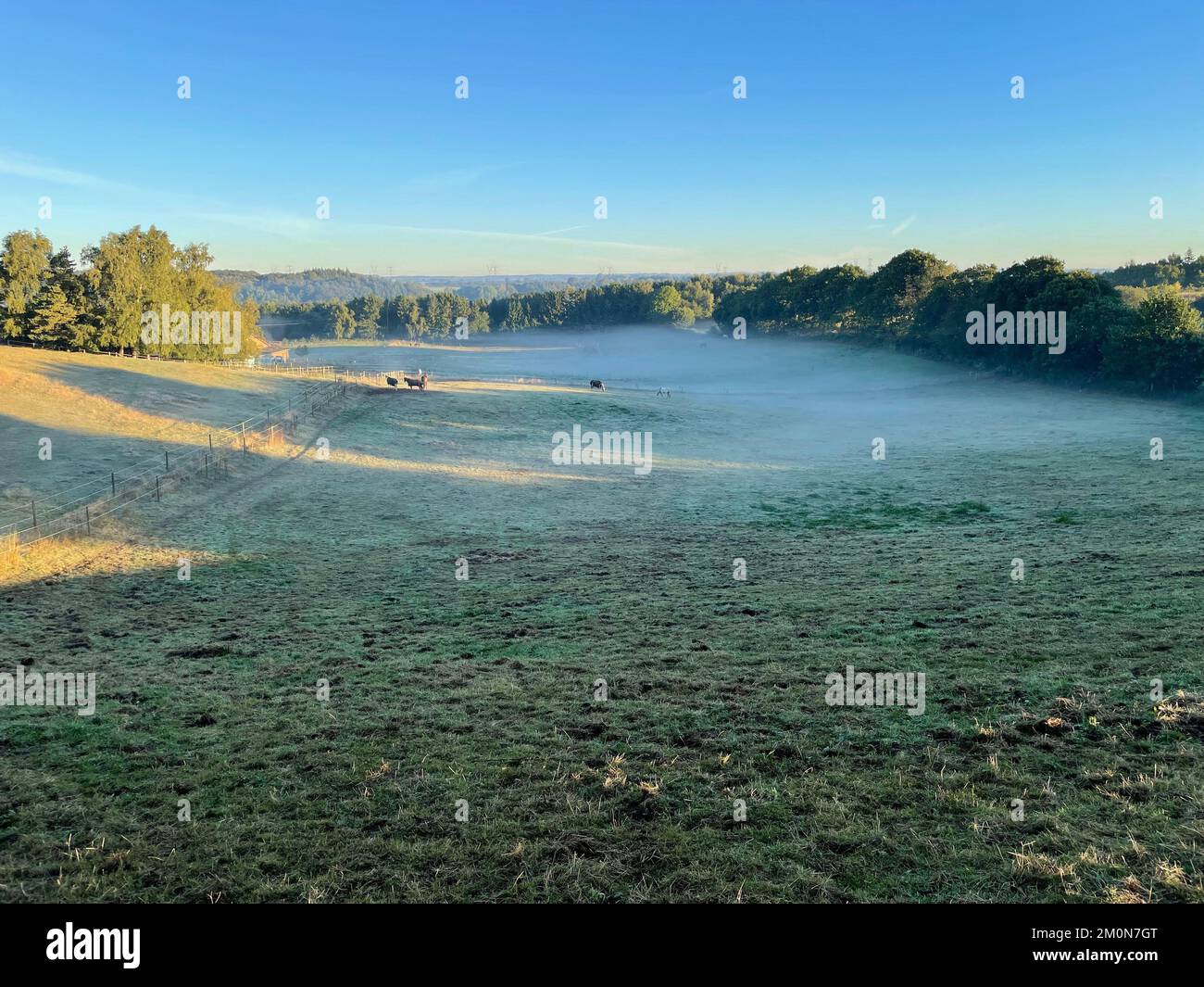 A green landscape of a field on a foggy day Stock Photo - Alamy