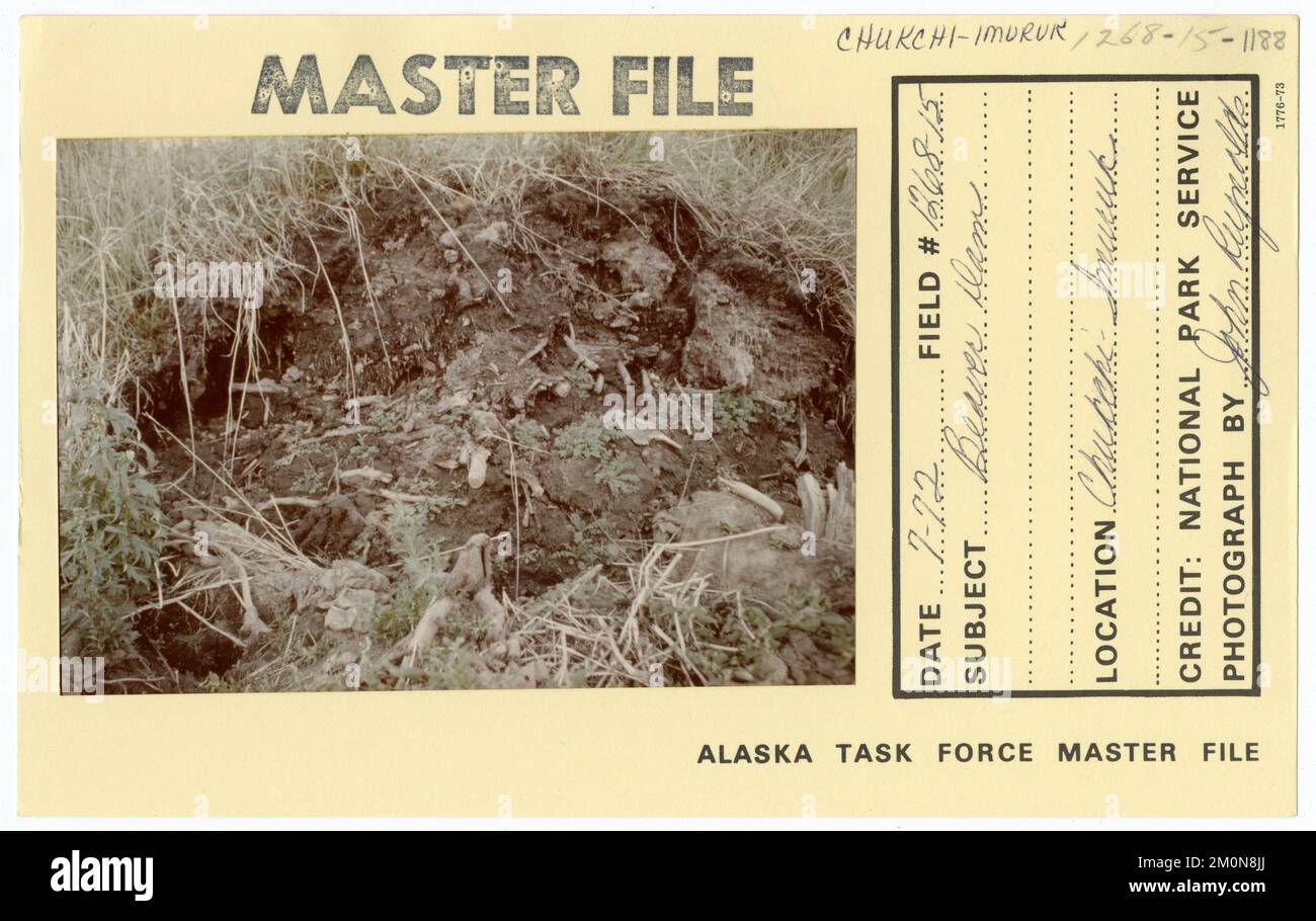 Beaver dam. Alaska Task Force Photographs Stock Photo