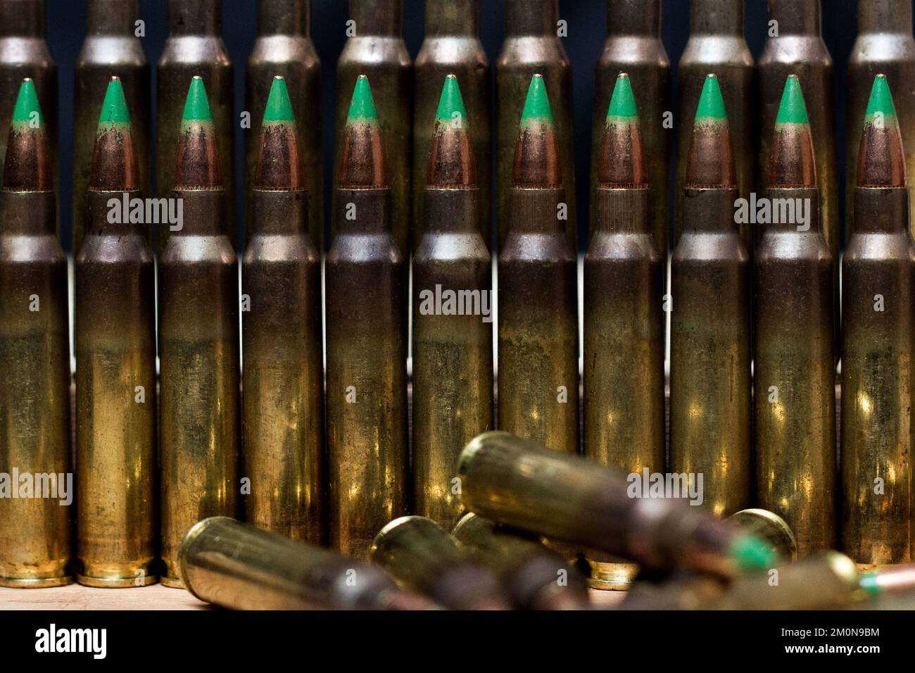 The Green tip 5.56x45mm NATO ammo rounds arranged standing up with