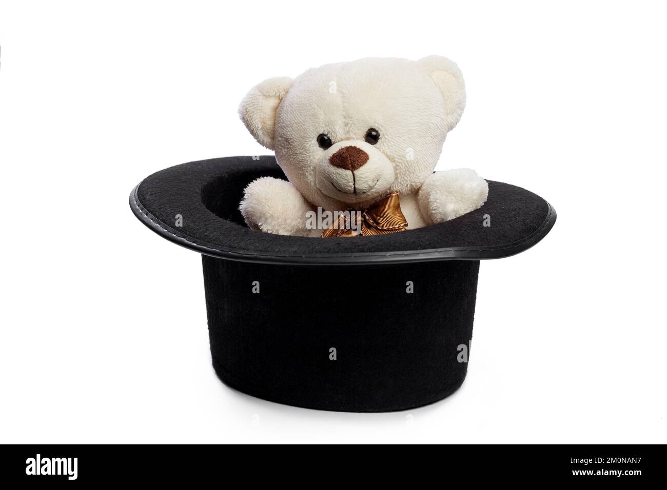 Isolated teddy bear with giant black hat Stock Photo
