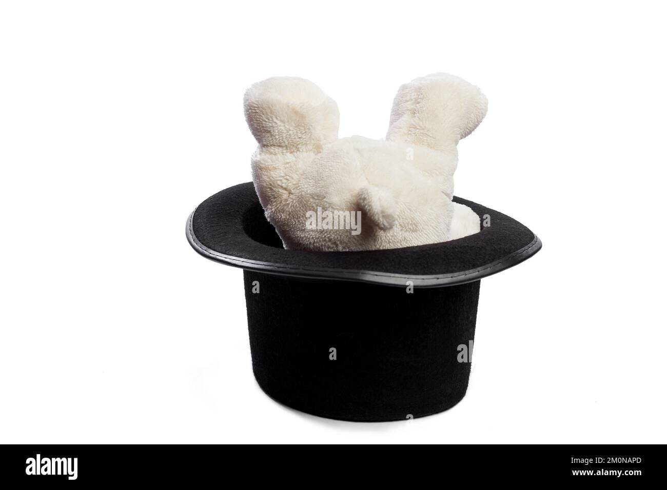 Isolated teddy bear with giant black hat Stock Photo