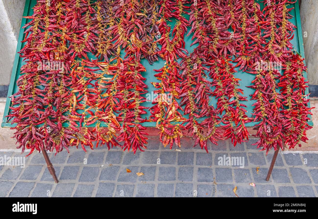 Dry Red Hot Chili Hungarian Peppers at Strings for Sale Stock Photo - Alamy