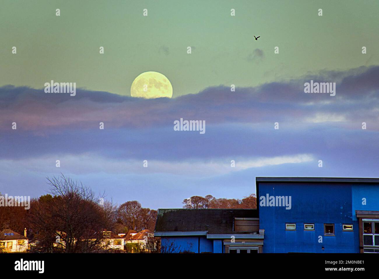 Glasgow, Scotland, UK 7th December, 2022. UK Weather:  Freezing temperatures aptly saw the  Cold Moon rise tonight, the last full moon of 2022. The rooftops if the suburb of knightswood and the corby step tower of the church at knightswood cross. Credit Gerard Ferry/Alamy Live News Stock Photo