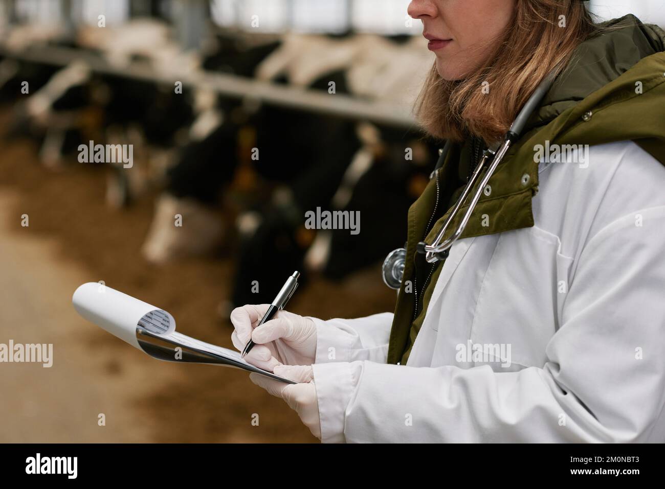 Closeup of female veterinarian in white coat making notes in card