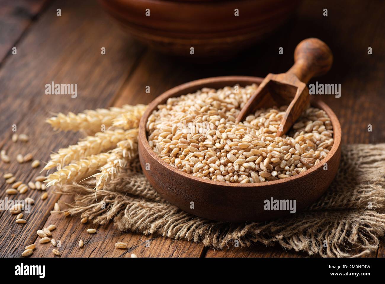Whole wheat, spelt grains in a wooden bowl. Concept of agriculture, food harvest Stock Photo
