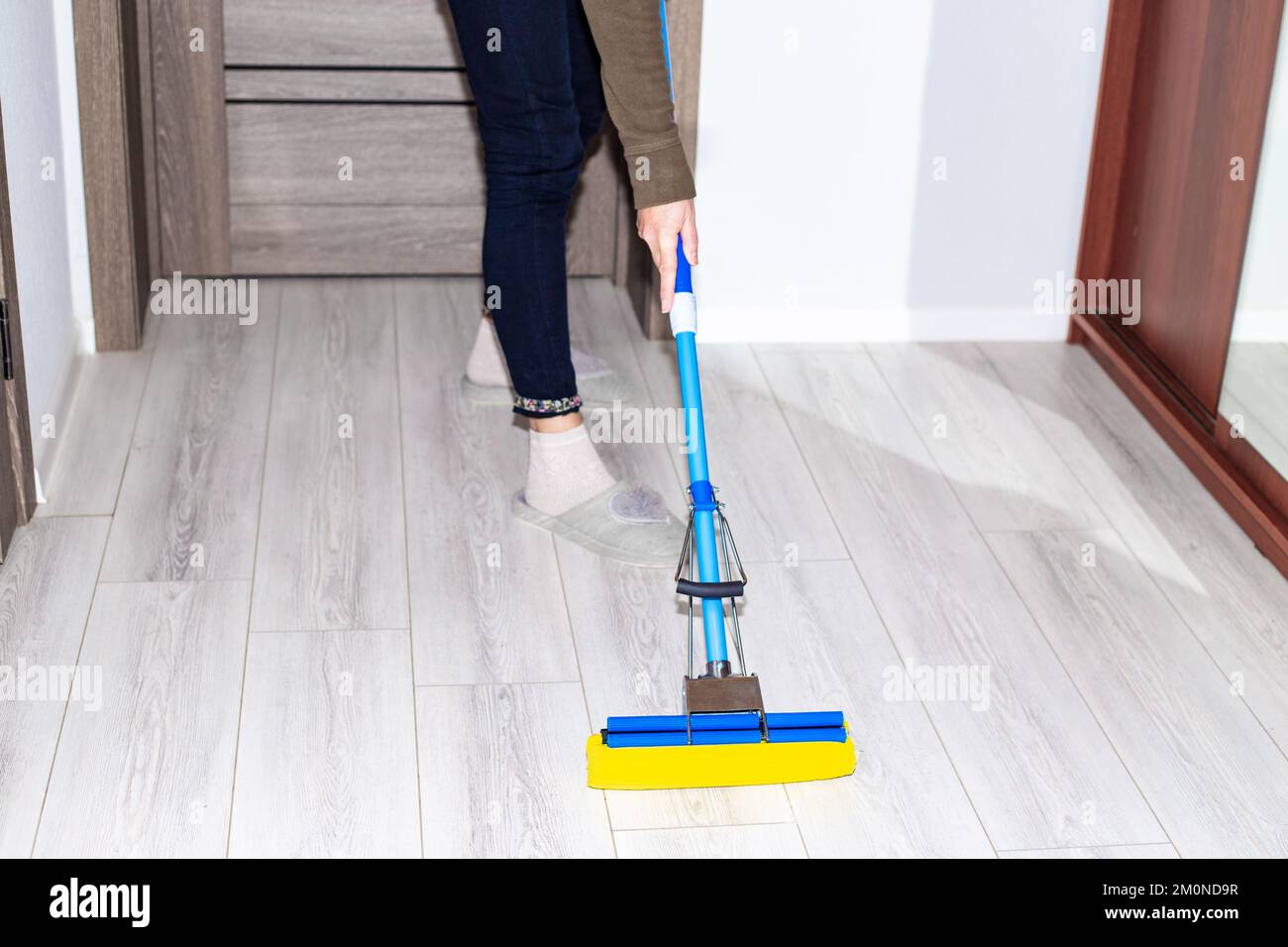 A woman washes the laminate floor in the apartment with a mop. House cleaning. Stock Photo