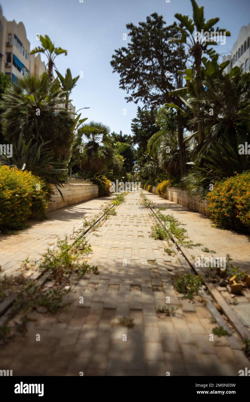 A scenic vertical shot of a paved road surrounded by lush tropical ...