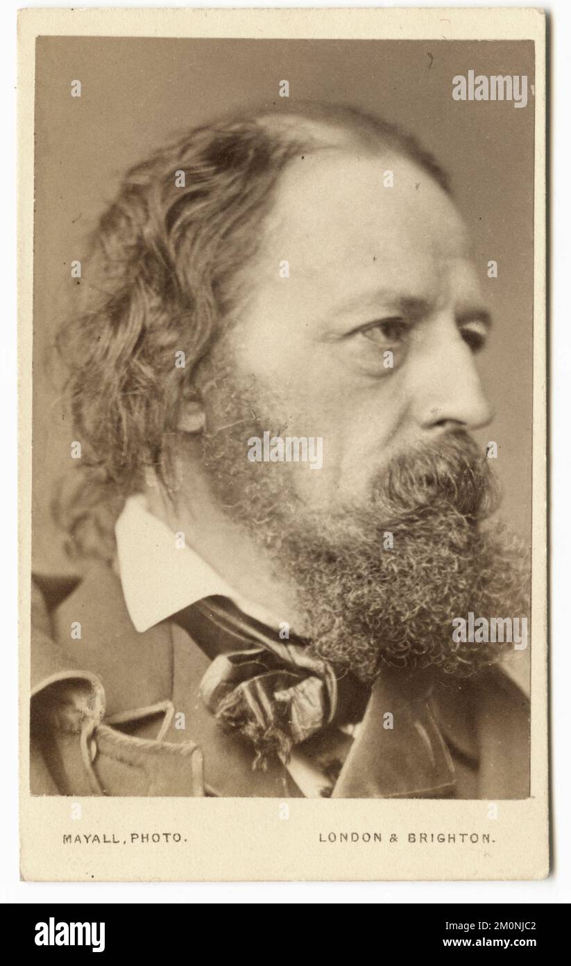 Portrait of British poet Alfred Tennyson, 1st Baron Tennyson (1850 - 1892), 1864. Photography by John Jabez Edwin Mayall (1813 - 1901) Stock Photo