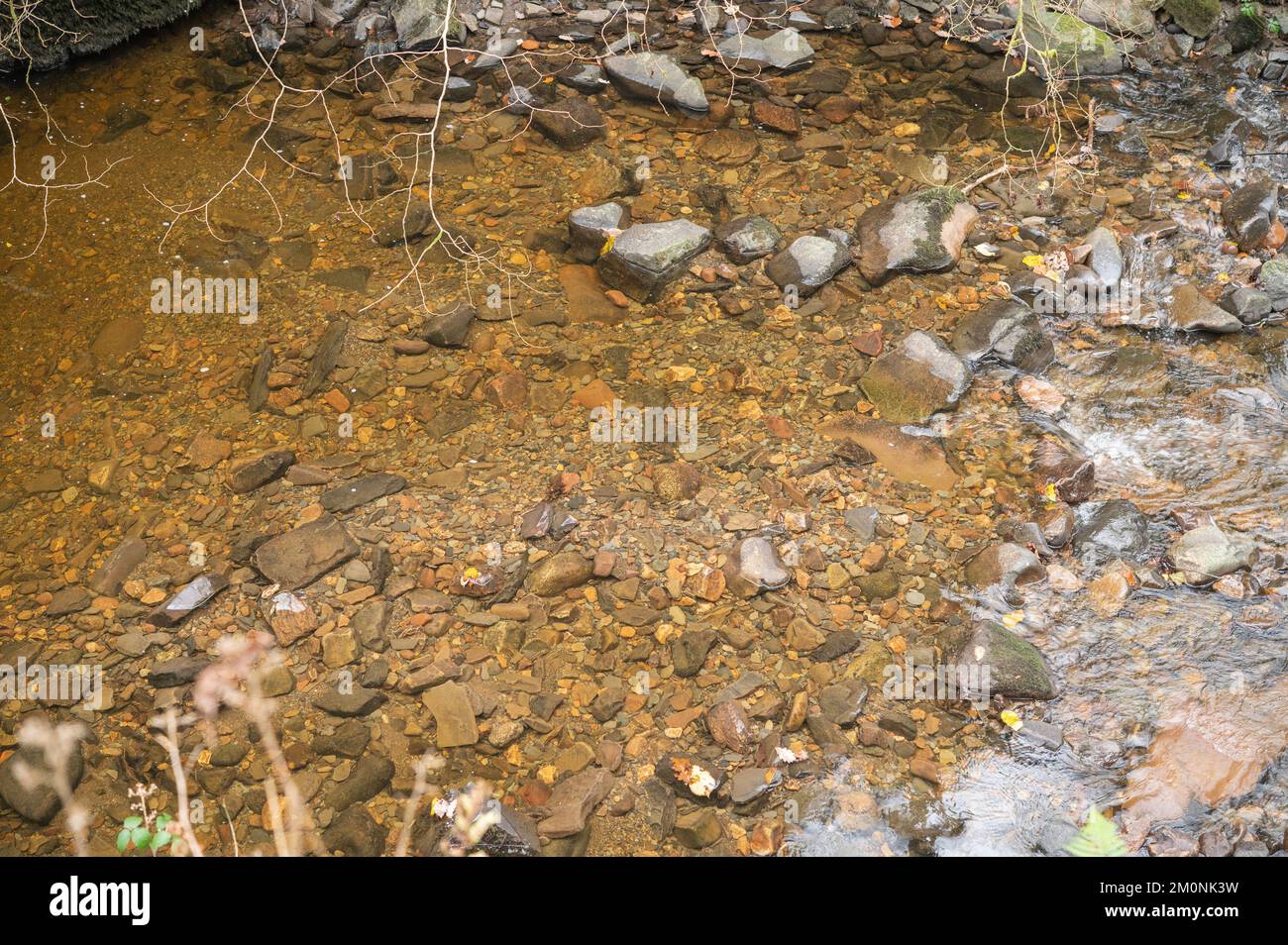 Clean area of gravel is a sea trout redd, Afon Llech, Brecon Beacons National Park, Wales, UK Stock Photo
