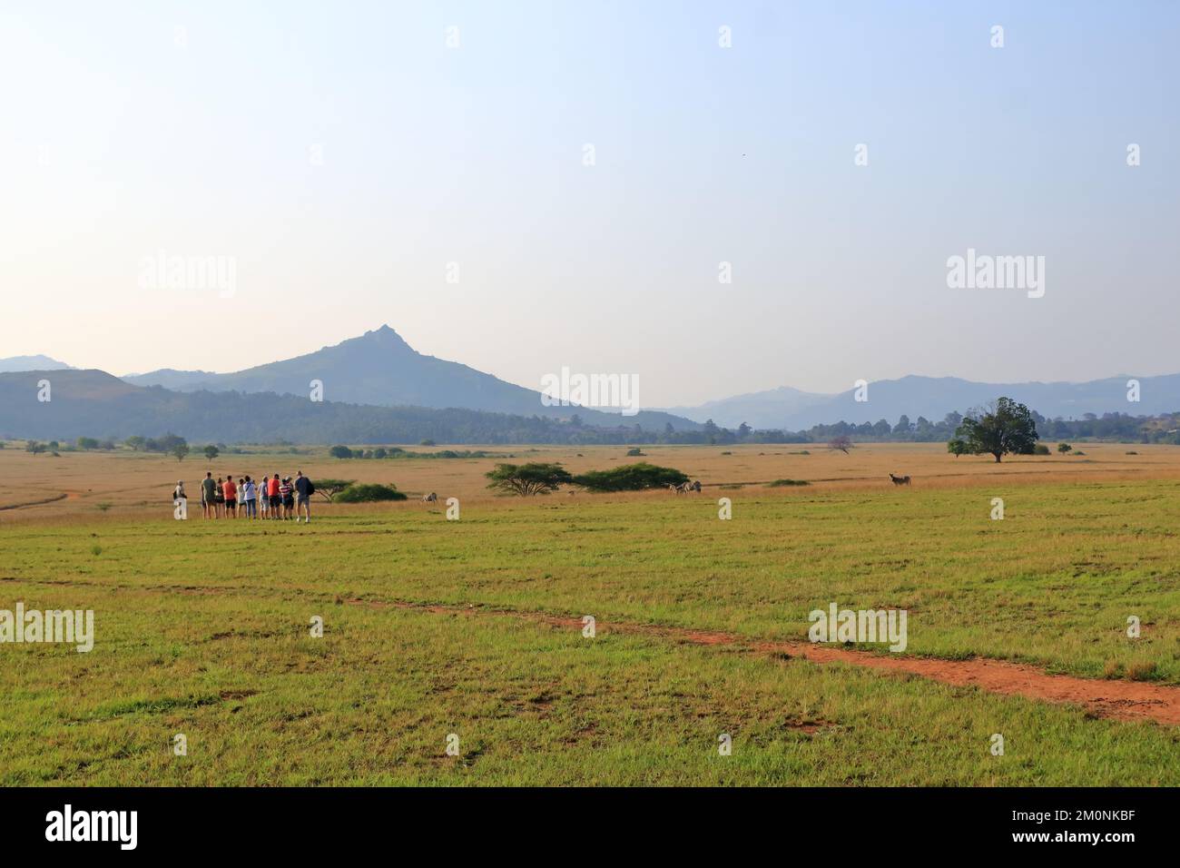 October 02 2022 - Mlilwane, Swaziland, Eswatini: the guide shows the