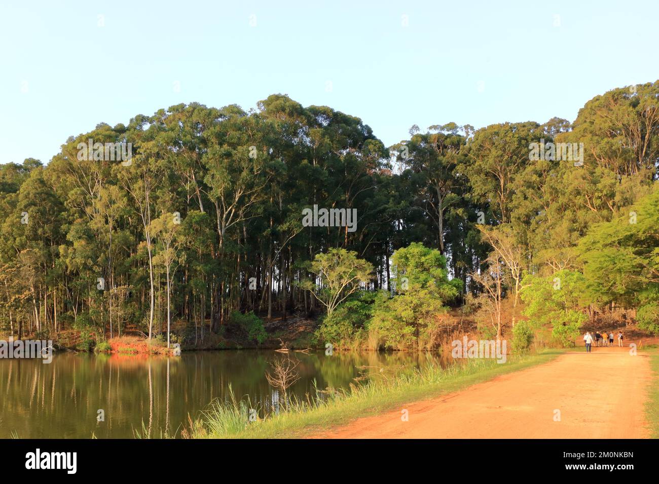 October 02 2022 - Mlilwane, Swaziland, Eswatini: the guide shows the