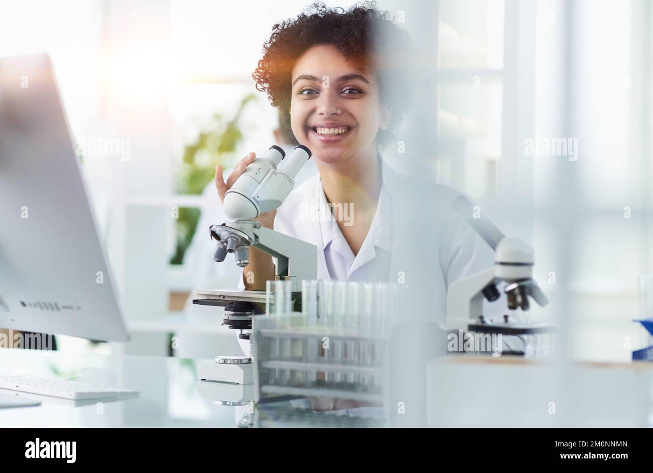 Female Scientist Working in The Lab Stock Photo - Alamy