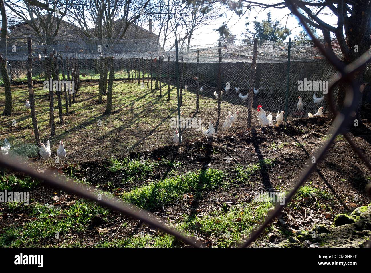 chicken coop in mountain of Sicily, Etna Park, Italy Stock Photo Alamy