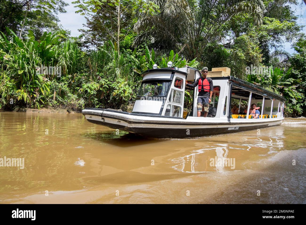 Passenger ship sailing very slowly through the mud banks of the Tortuguero Canal in Costa Rica Stock Photo