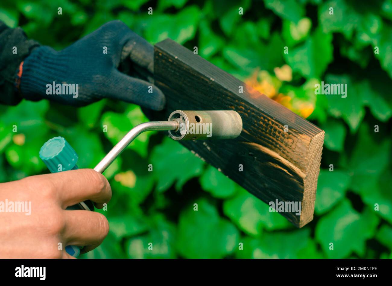 DIY process. Wood fire treatment with a gas burner Stock Photo Alamy