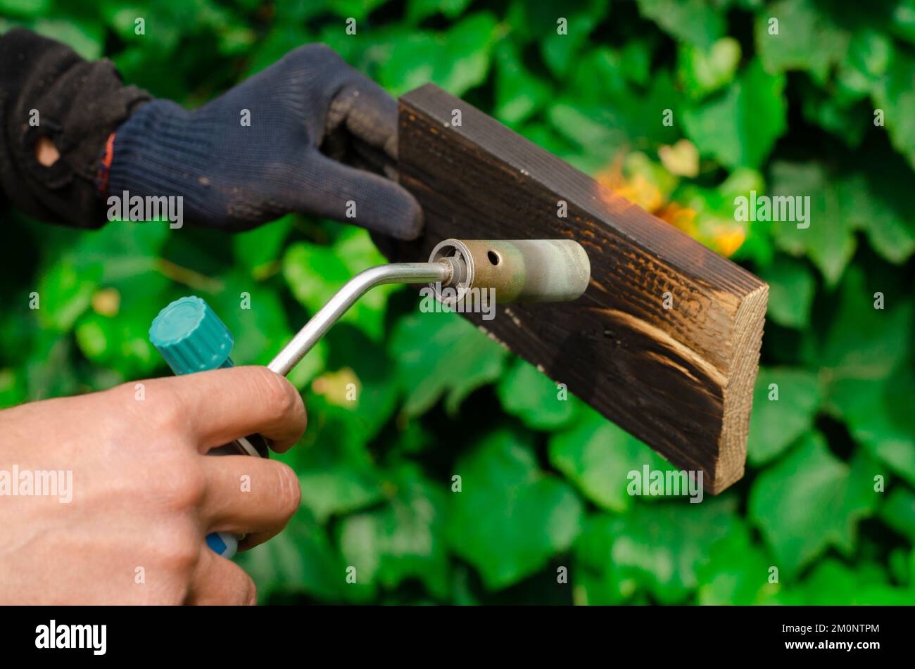 Wood fire treatment with a gas burner. DIY process Stock Photo Alamy
