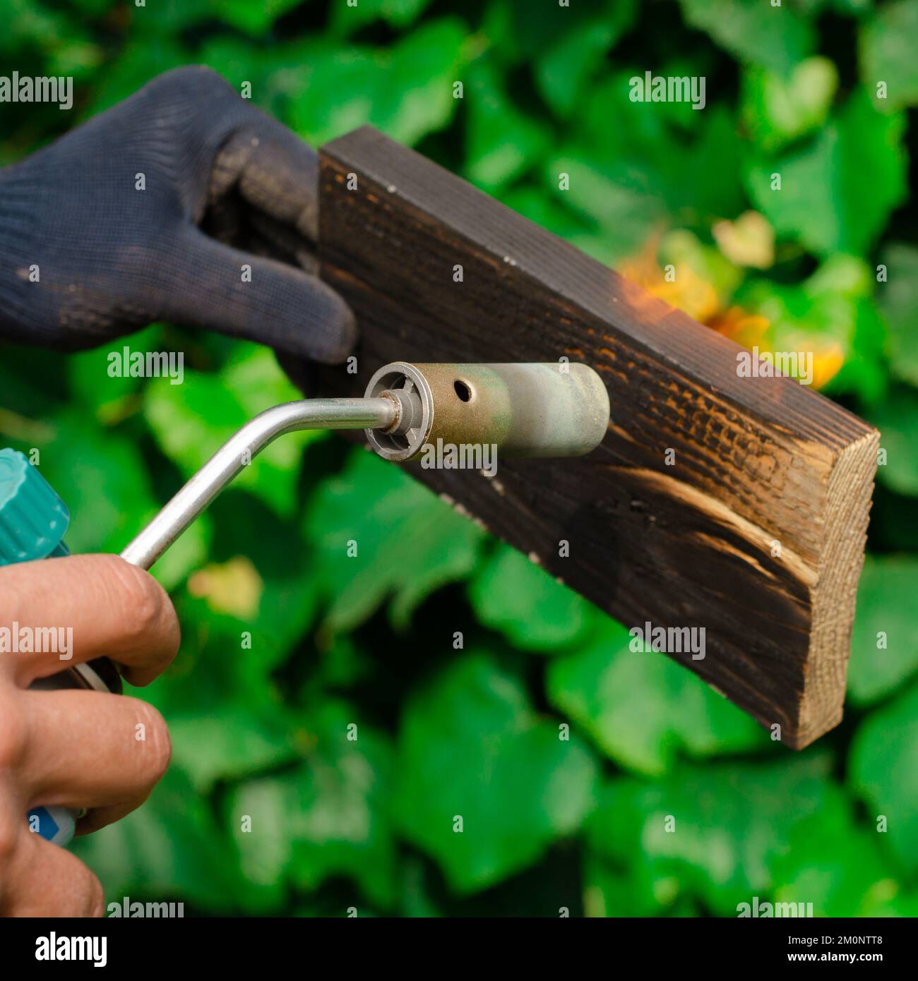 Wood fire treatment with a gas burner. DIY process Stock Photo Alamy
