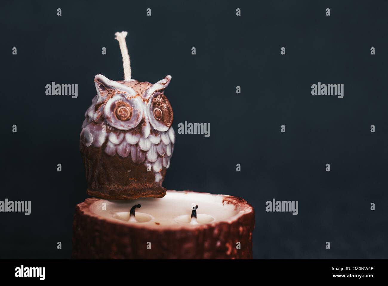 Candles in the shape of an owl on a tree stump. Holiday advent