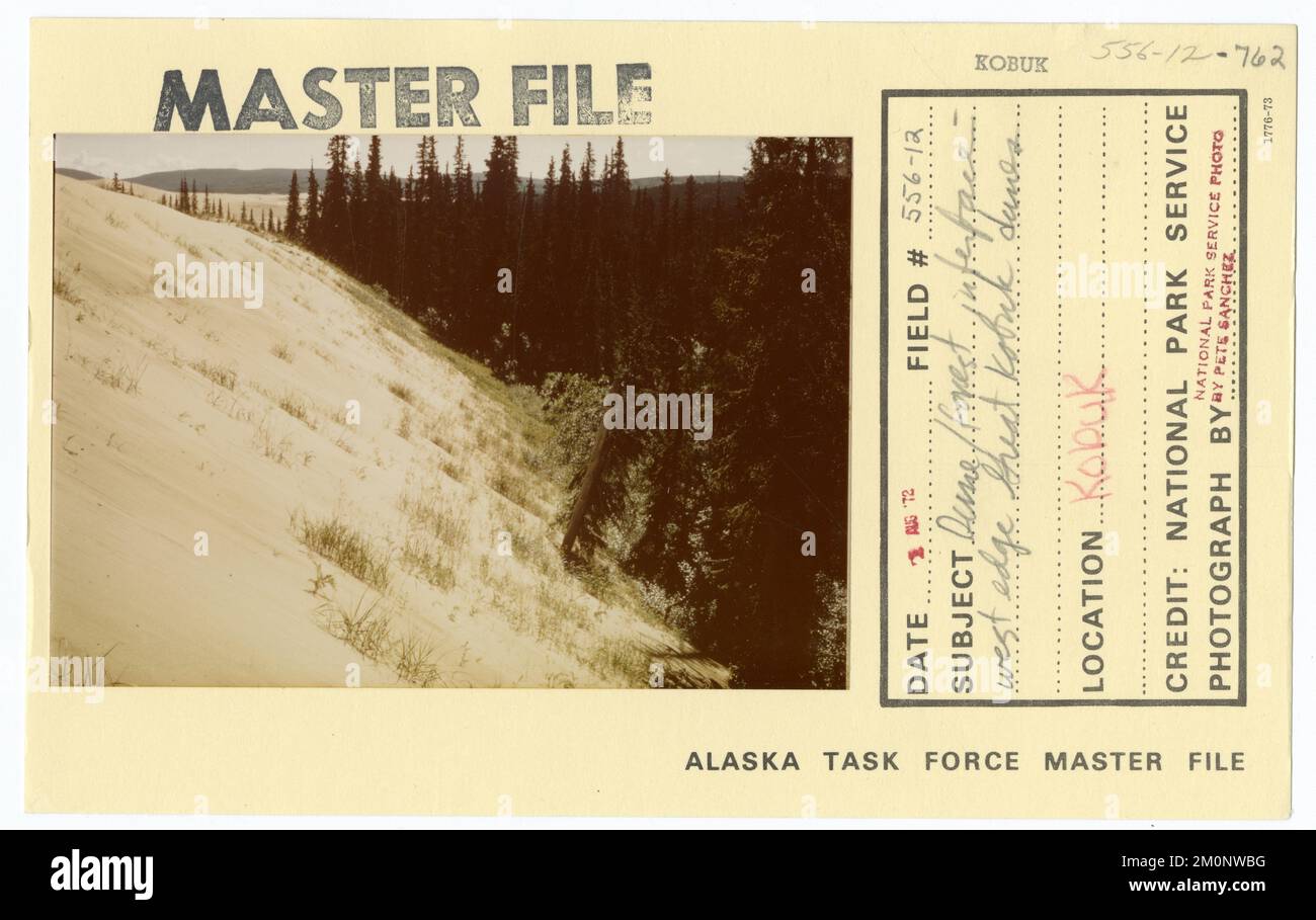 Dune/forest interface - west edge Great Kobuk dunes. Alaska Task Force Photographs Stock Photo