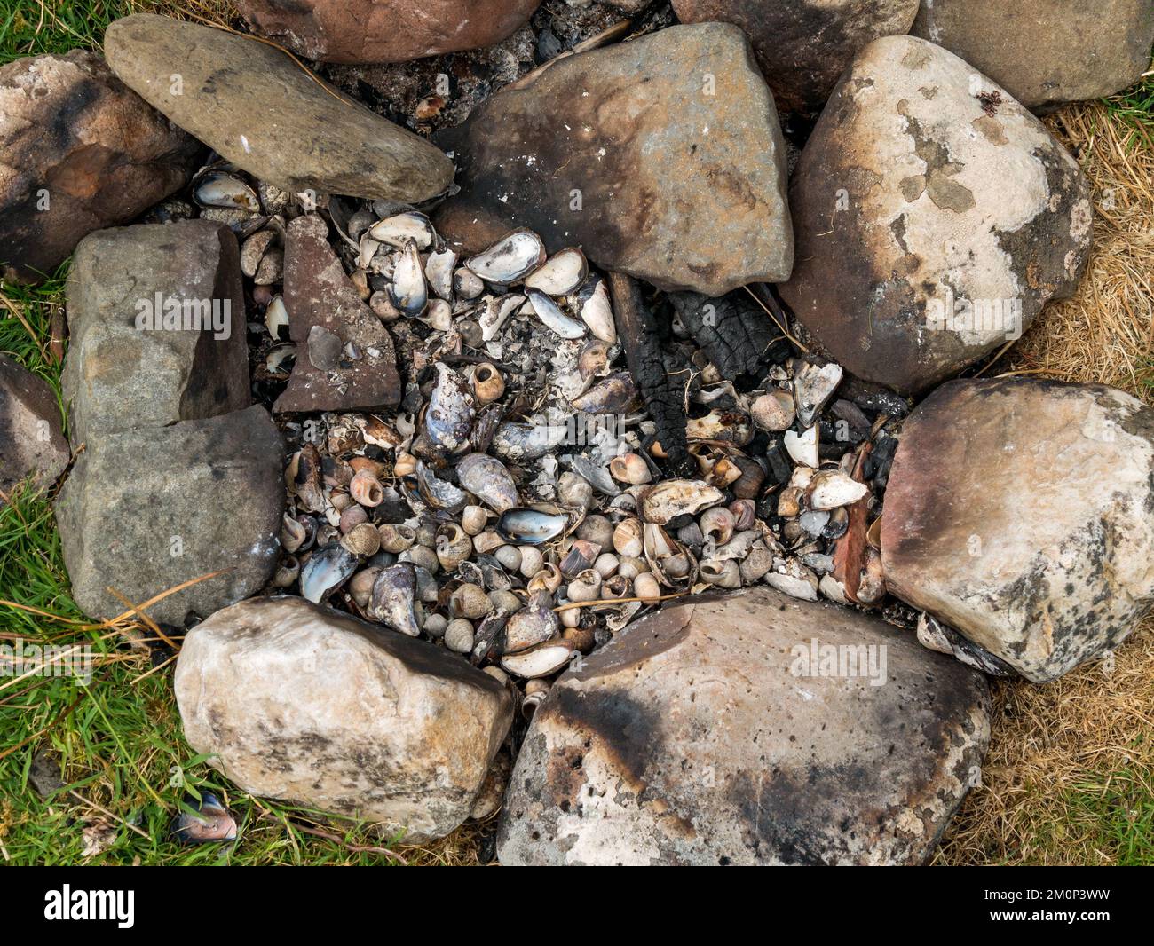 Remains of shellfish beach barbecue site with ring of stones for a hearth containing ashes and empty mussel and winkle shells, Scotland, UK Stock Photo