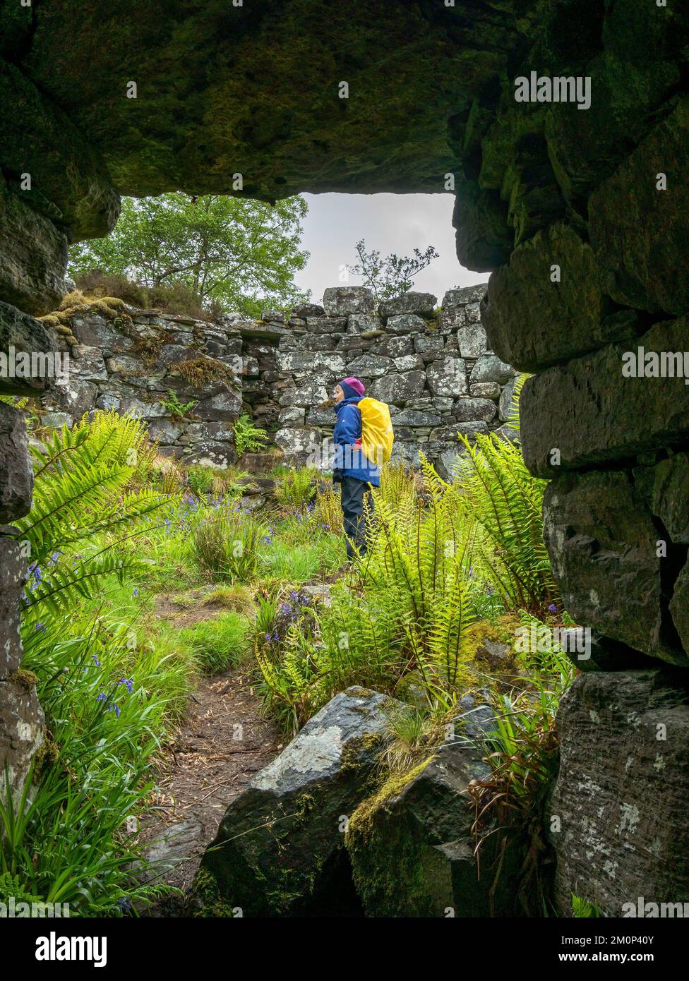 Ruins of Totaig Broch (Caisteal Grugaig) an ancient Scottish iron age roundhouse, Letterfearn, Highland, Scotland, UK Stock Photo