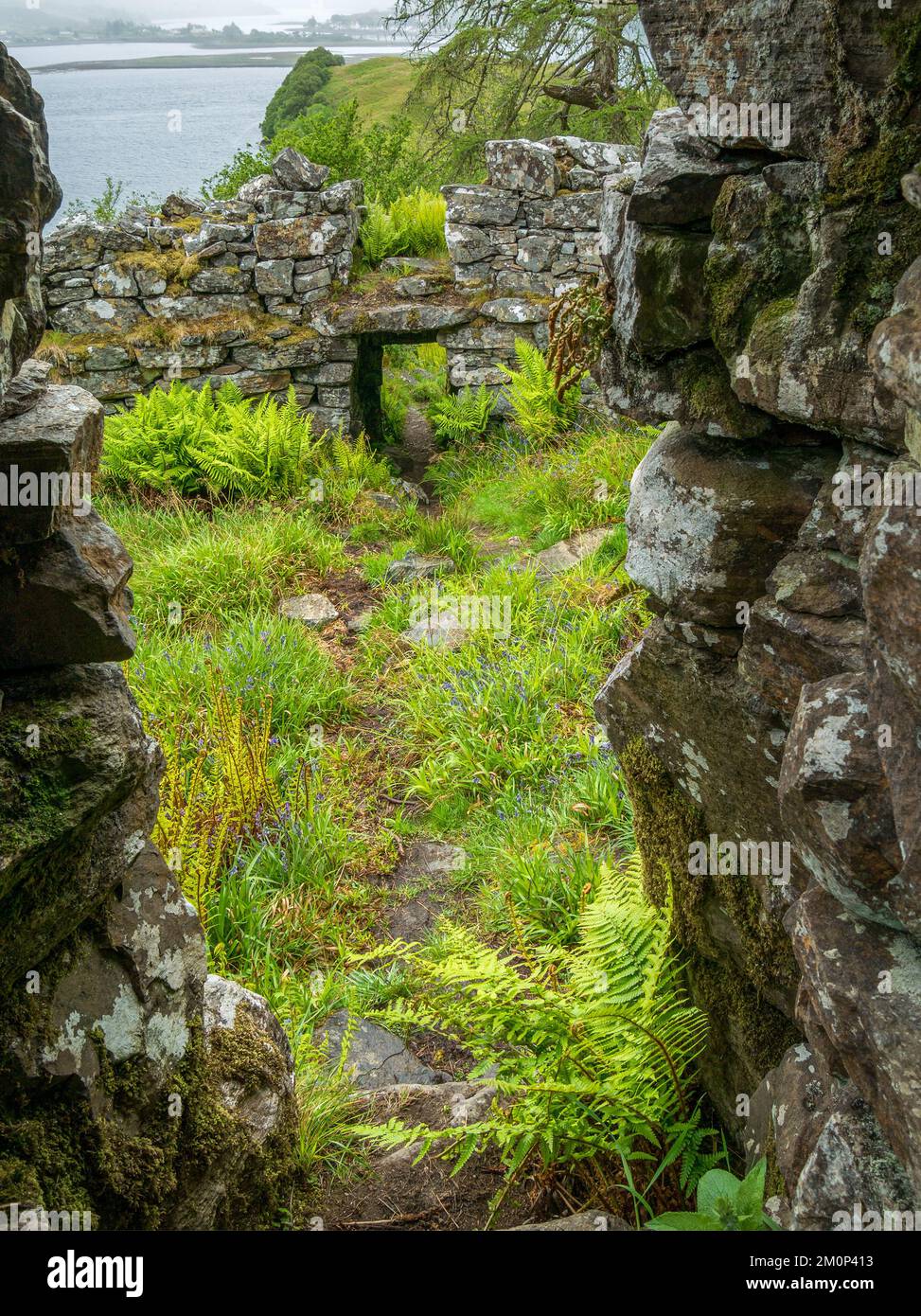 Ruins of Totaig Broch (Caisteal Grugaig) an ancient Scottish iron age roundhouse, Letterfearn, Highland, Scotland, UK Stock Photo