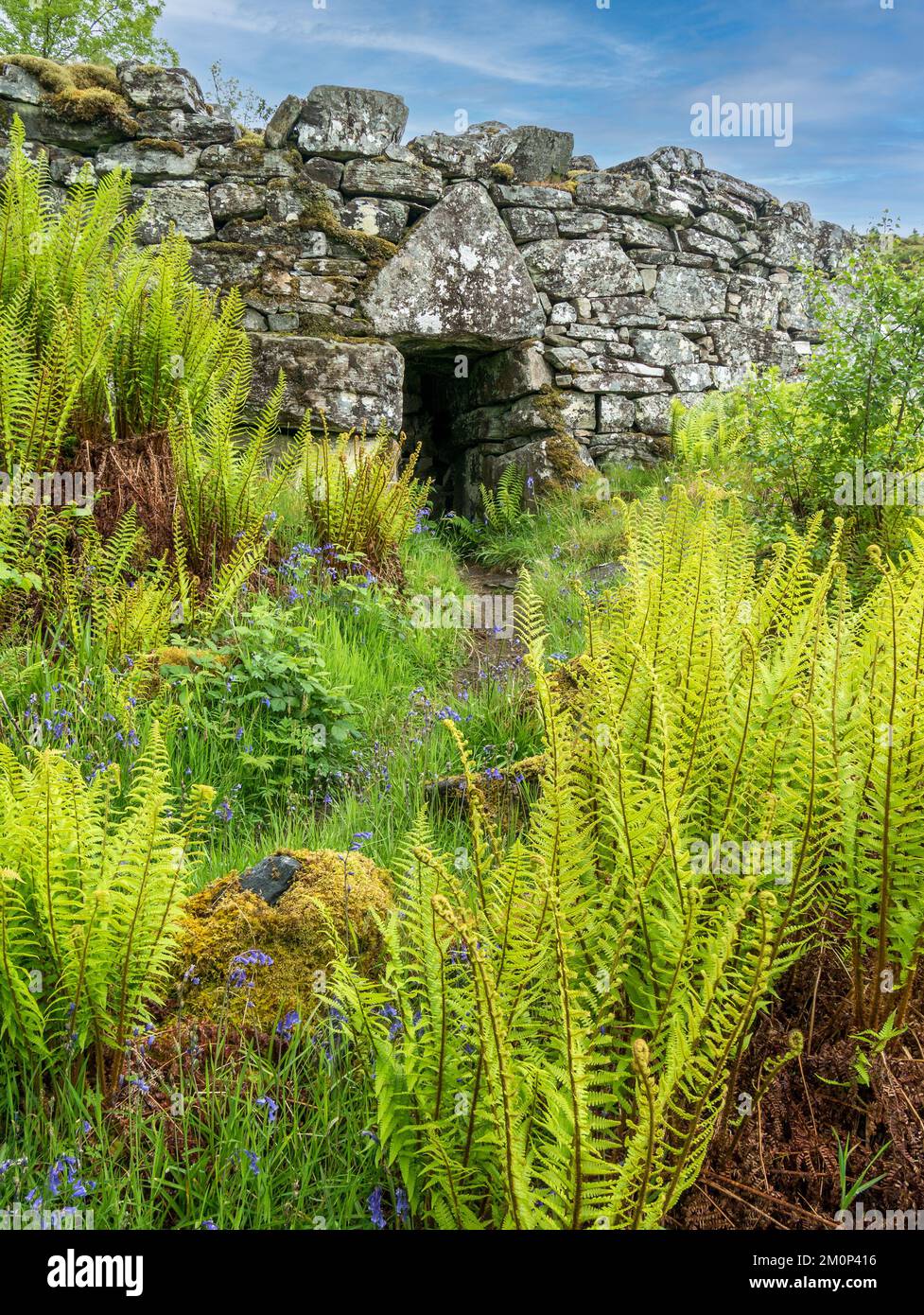 Entrance doorway in ruins of Totaig Broch (Caisteal Grugaig) an ancient Scottish iron age roundhouse, Letterfearn, Highland, Scotland, UK Stock Photo
