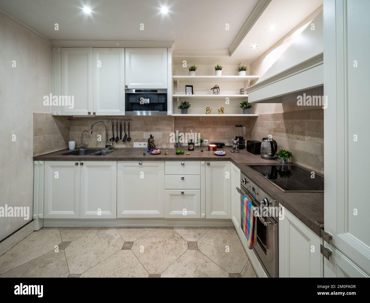Curated visual reference: Picture Idea: Modern Interior Of Light Kitchen In Luxury Apartment Home Appliances