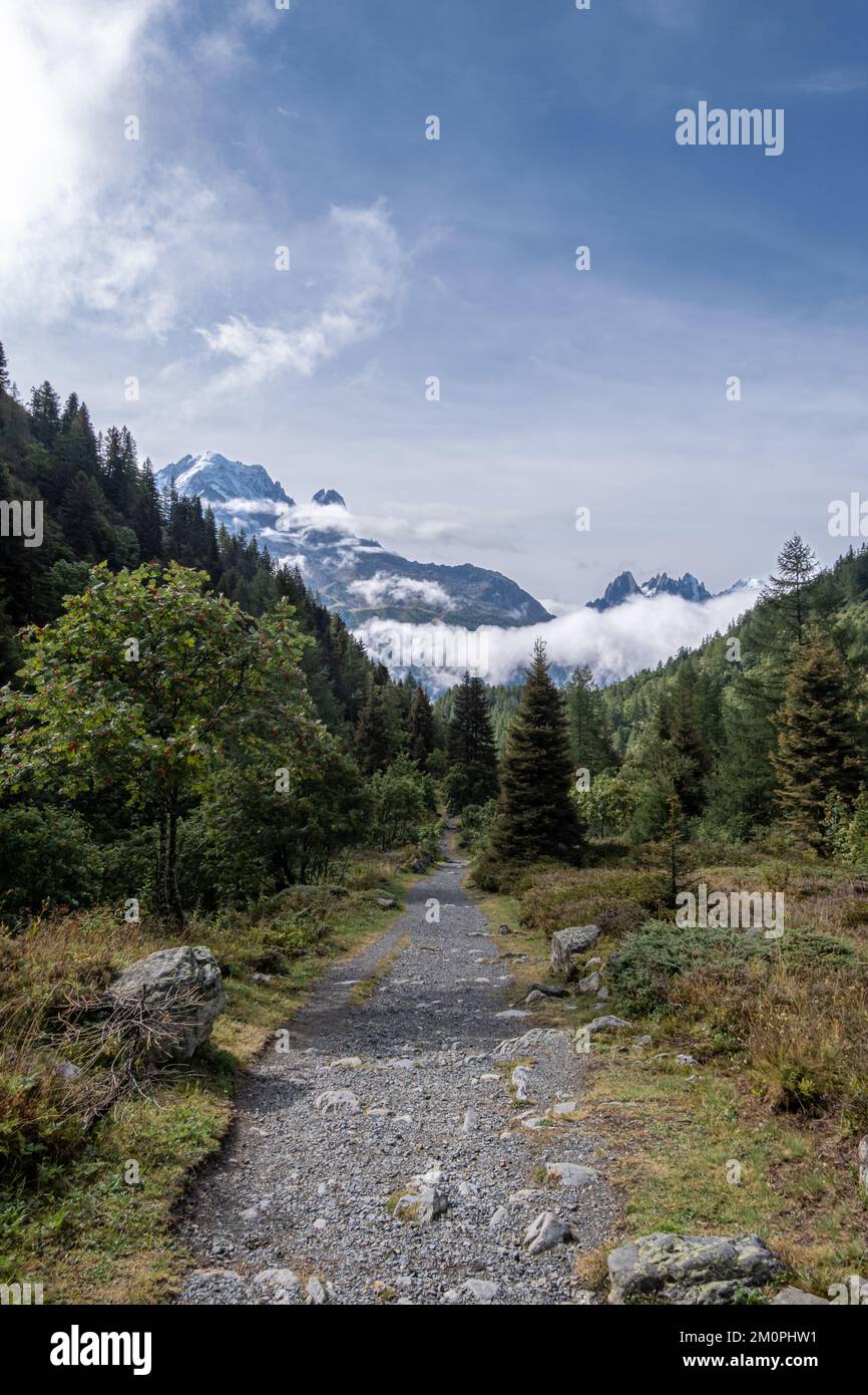 Alpine walking path leading through forested area from the Col des Montets towards the mouintains of Aiguilles Rouges natural park in Chamonix valley Stock Photo