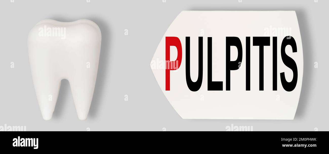 Medical, dental concept. Prevention of dental diseases. Plastic model