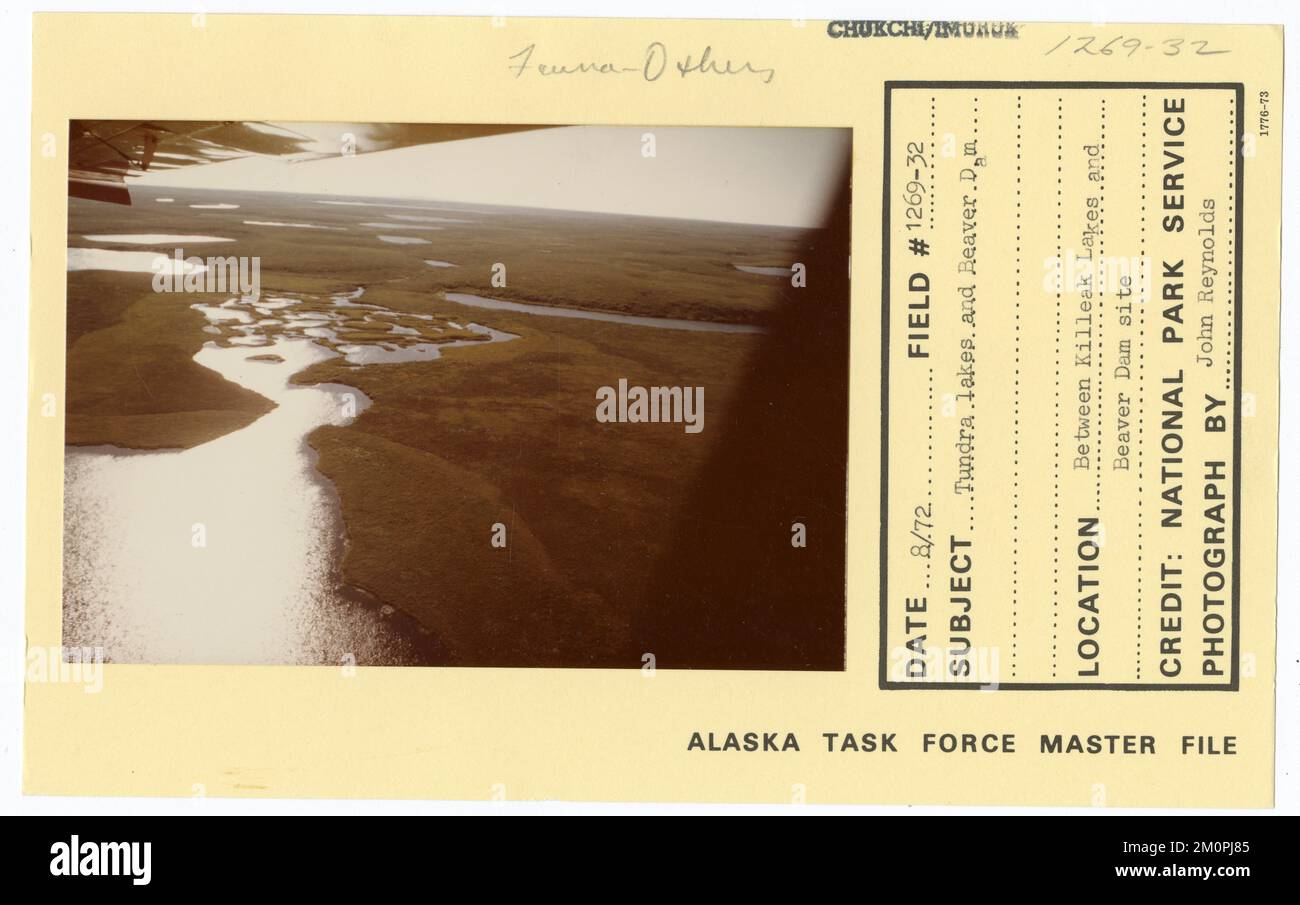 Tundra lakes and Beaver Dam. Alaska Task Force Photographs Stock Photo