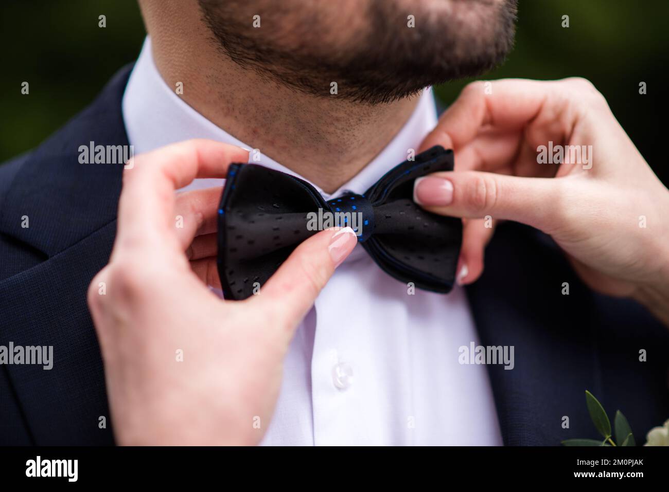 the hands of the groom bow tie. stylish groomsmen helping happy groom